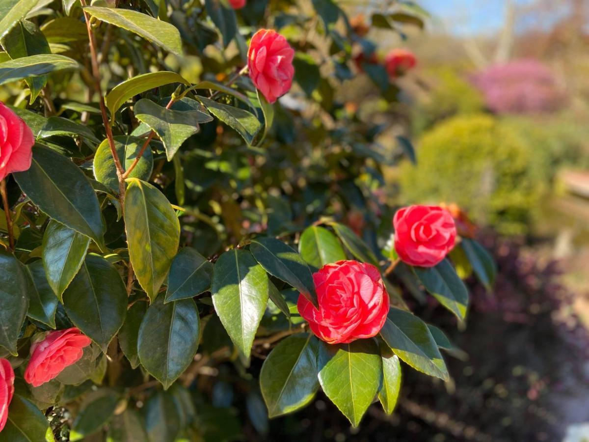 Gite "Cote Jardin" Vannecrocq Zewnętrze zdjęcie