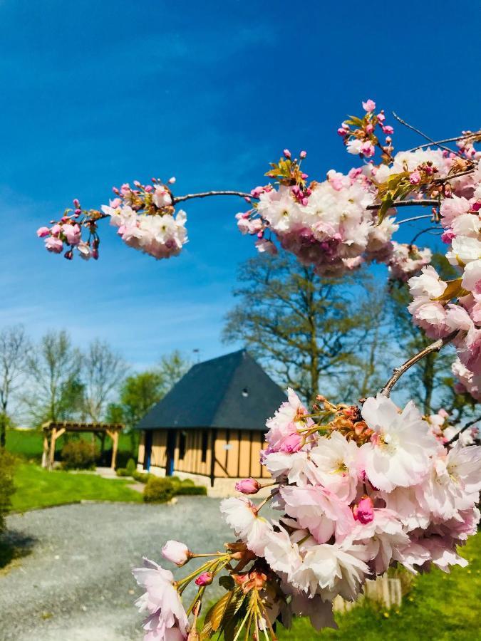 Gite "Cote Jardin" Vannecrocq Zewnętrze zdjęcie