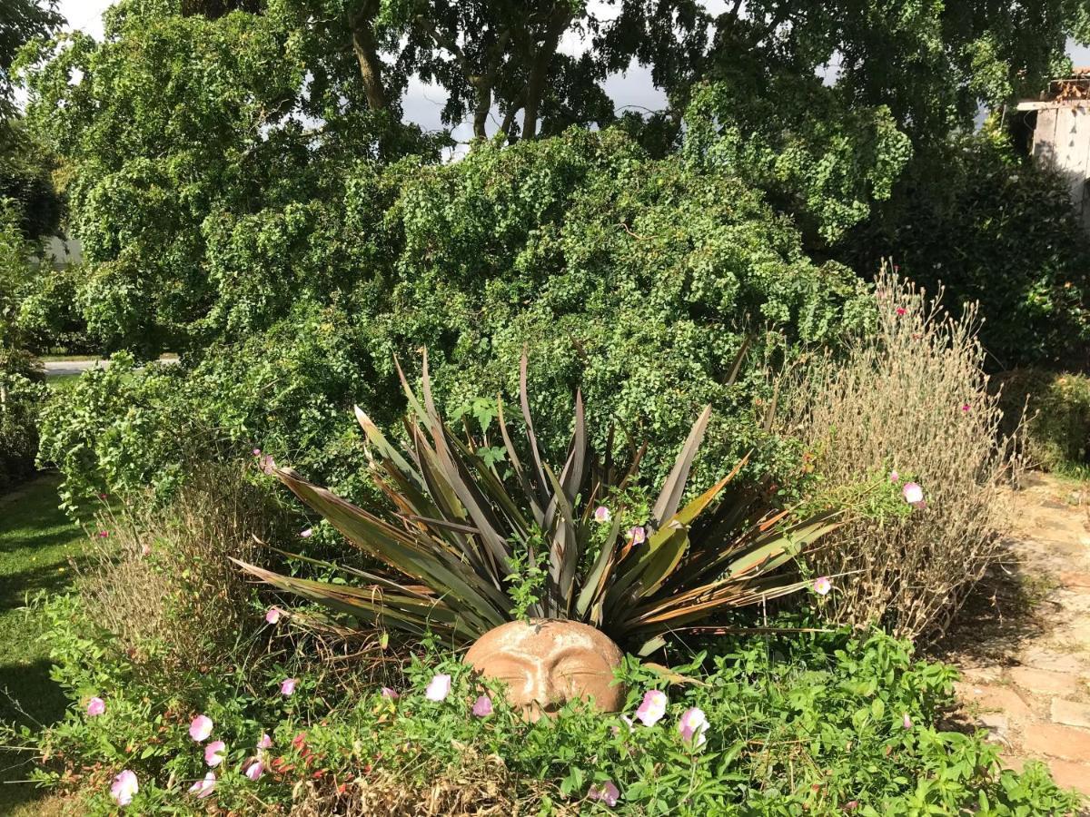 Gite "Cote Jardin" Vannecrocq Zewnętrze zdjęcie