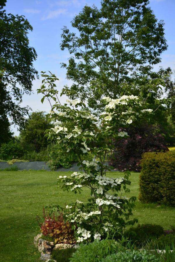Gite "Cote Jardin" Vannecrocq Zewnętrze zdjęcie